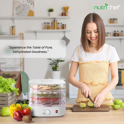 Déshydrateur alimentaire de comptoir électrique, conservateur d'aliments 
